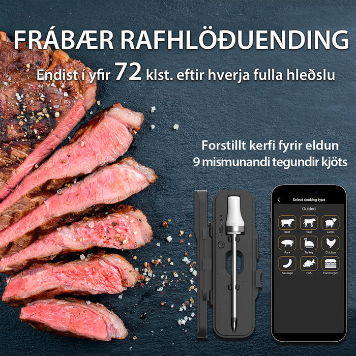 ARMEATOR ONE þráðlaus Bluetooth kjöthitamælir