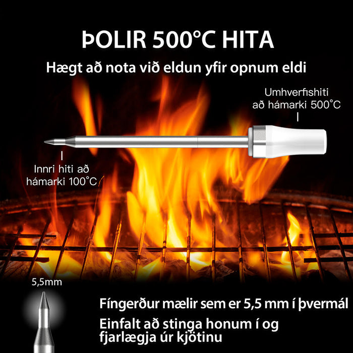 ARMEATOR ONE þráðlaus Bluetooth kjöthitamælir