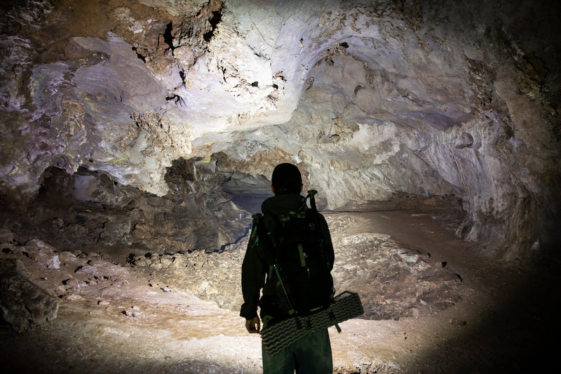 ArkPro Lite Syrta á Íslandi