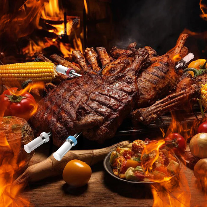 ARMEATOR D4 þráðlaus Bluetooth kjöthitamælir með fjórum skynjurum